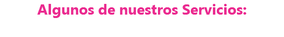Algunos de nuestros Servicios: 
